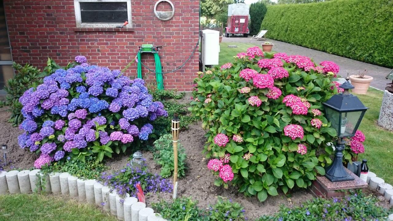 Ferienwohnung Nicol Dunum Exteriér fotografie